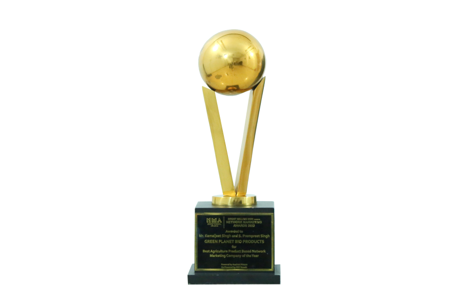 Network Marketing Award