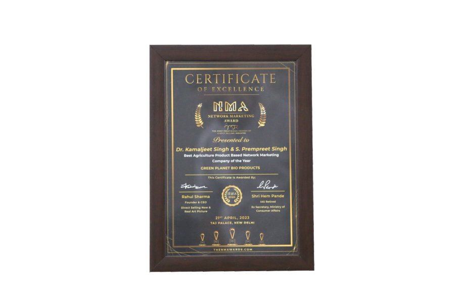 Network Marketing Award